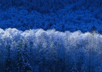 apartment for rent - Warszawa, Mokotów, Wielicka