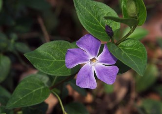 mieszkanie na sprzedaż - Warszawa, Mokotów, Bielawska