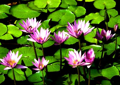 apartment for sale - Warszawa, Praga Południe, Grochowska