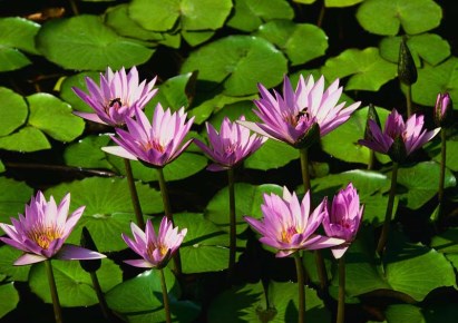 mieszkanie na sprzedaż - Warszawa