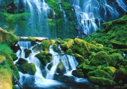 wohnung zu verkaufen - Warszawa, Bielany, Swarzewska