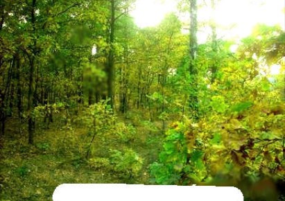 mieszkanie na sprzedaż - Warszawa, Targówek, Piotra Skargi