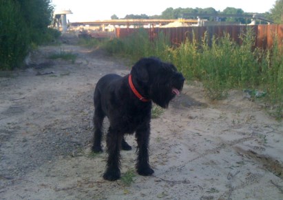 mieszkanie na sprzedaż - Warszawa, Mokotów