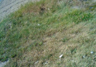 działka na sprzedaż - Warszawa