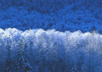 wohnung zu verkaufen - Warszawa, Śródmieście