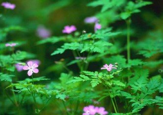 mieszkanie na sprzedaż - Warszawa, Mokotów