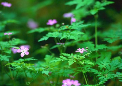 mieszkanie na sprzedaż - Warszawa, Mokotów