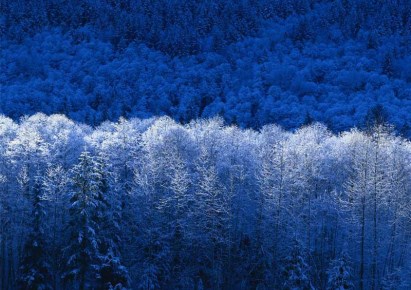 mieszkanie na sprzedaż - Bydgoszcz, Wyżyny