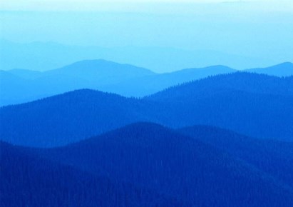 house for sale - Bydgoszcz, Wyżyny