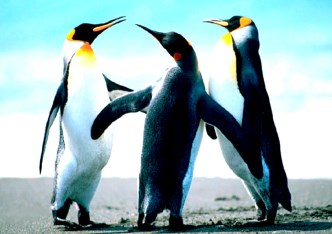 mieszkanie na sprzedaż - Warszawa, Ochota, Korotyńskiego